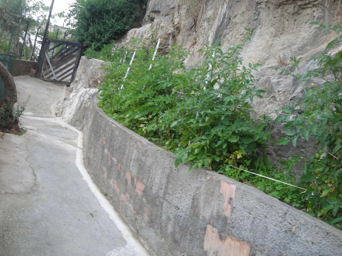 B&B L'Arcobaleno Sorrento Exterior photo