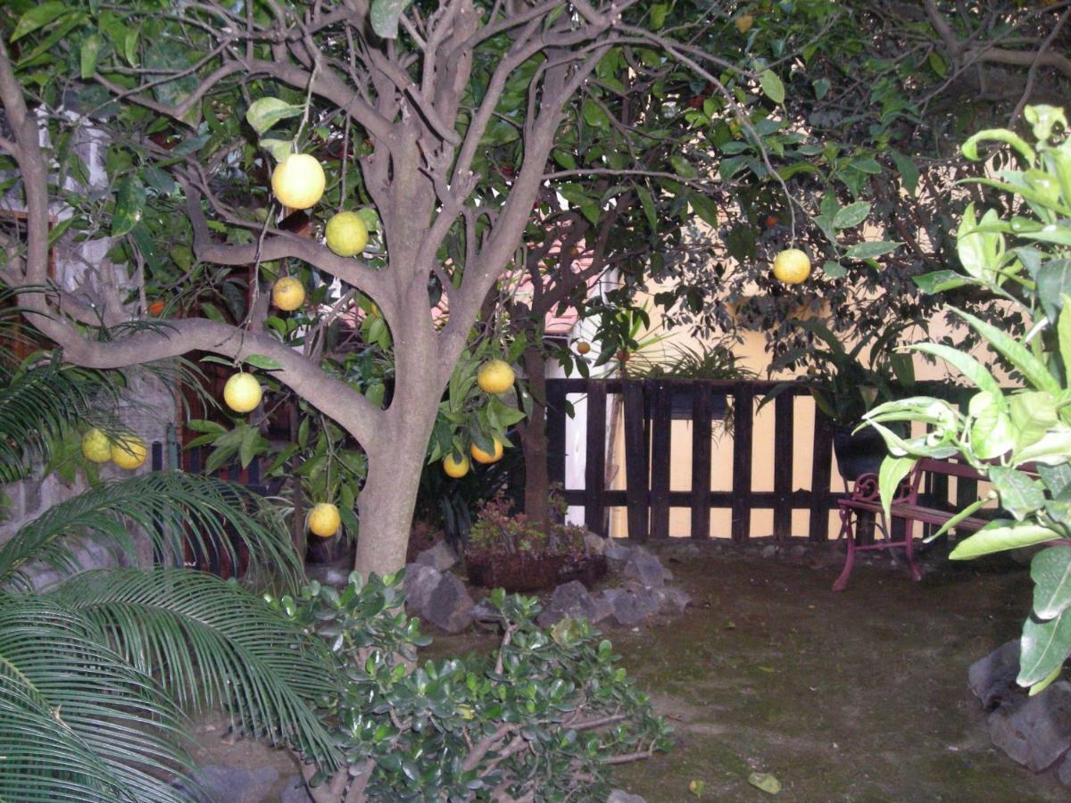 B&B L'Arcobaleno Sorrento Exterior photo