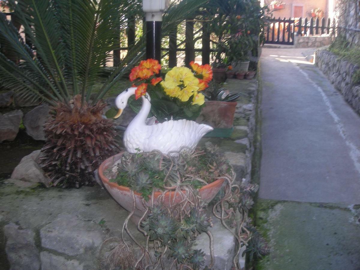 B&B L'Arcobaleno Sorrento Exterior photo