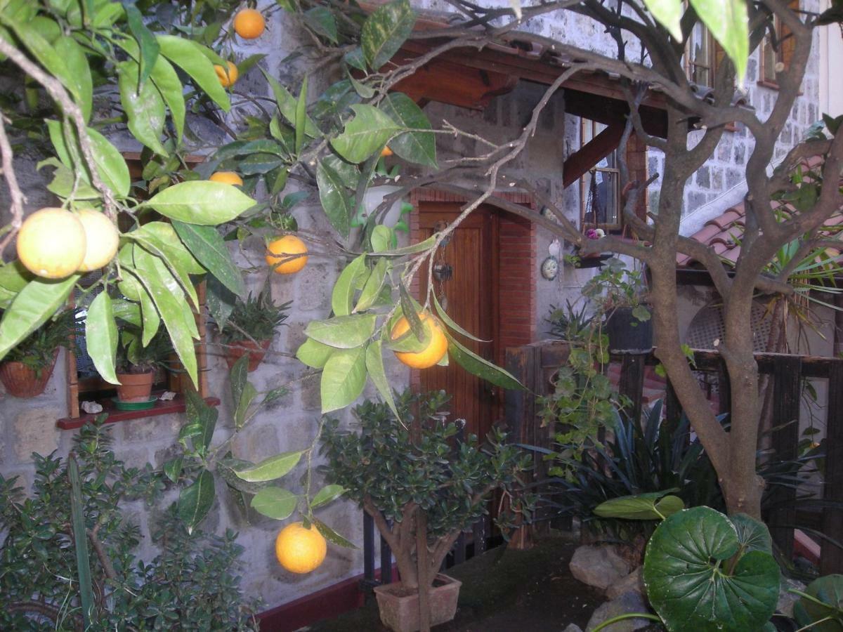 B&B L'Arcobaleno Sorrento Exterior photo