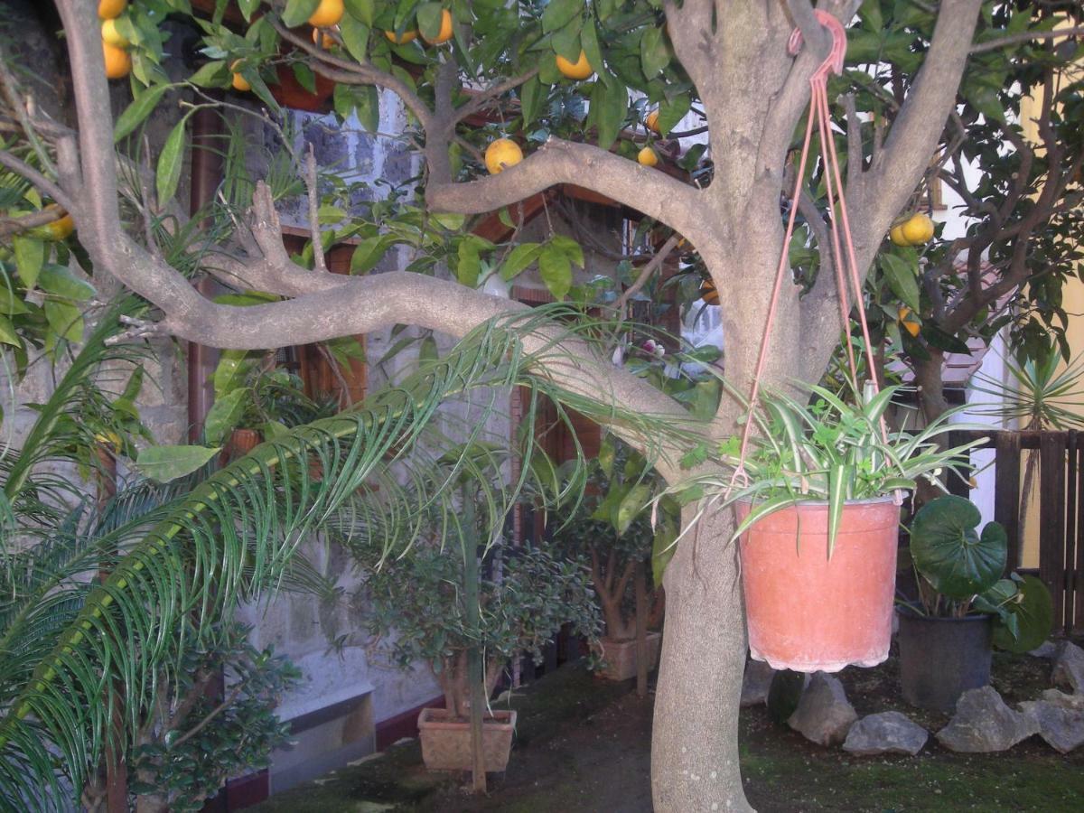 B&B L'Arcobaleno Sorrento Exterior photo