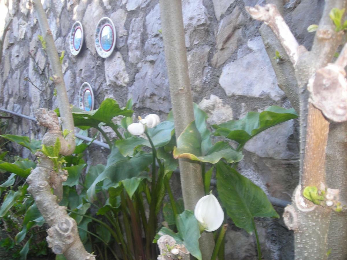 B&B L'Arcobaleno Sorrento Exterior photo