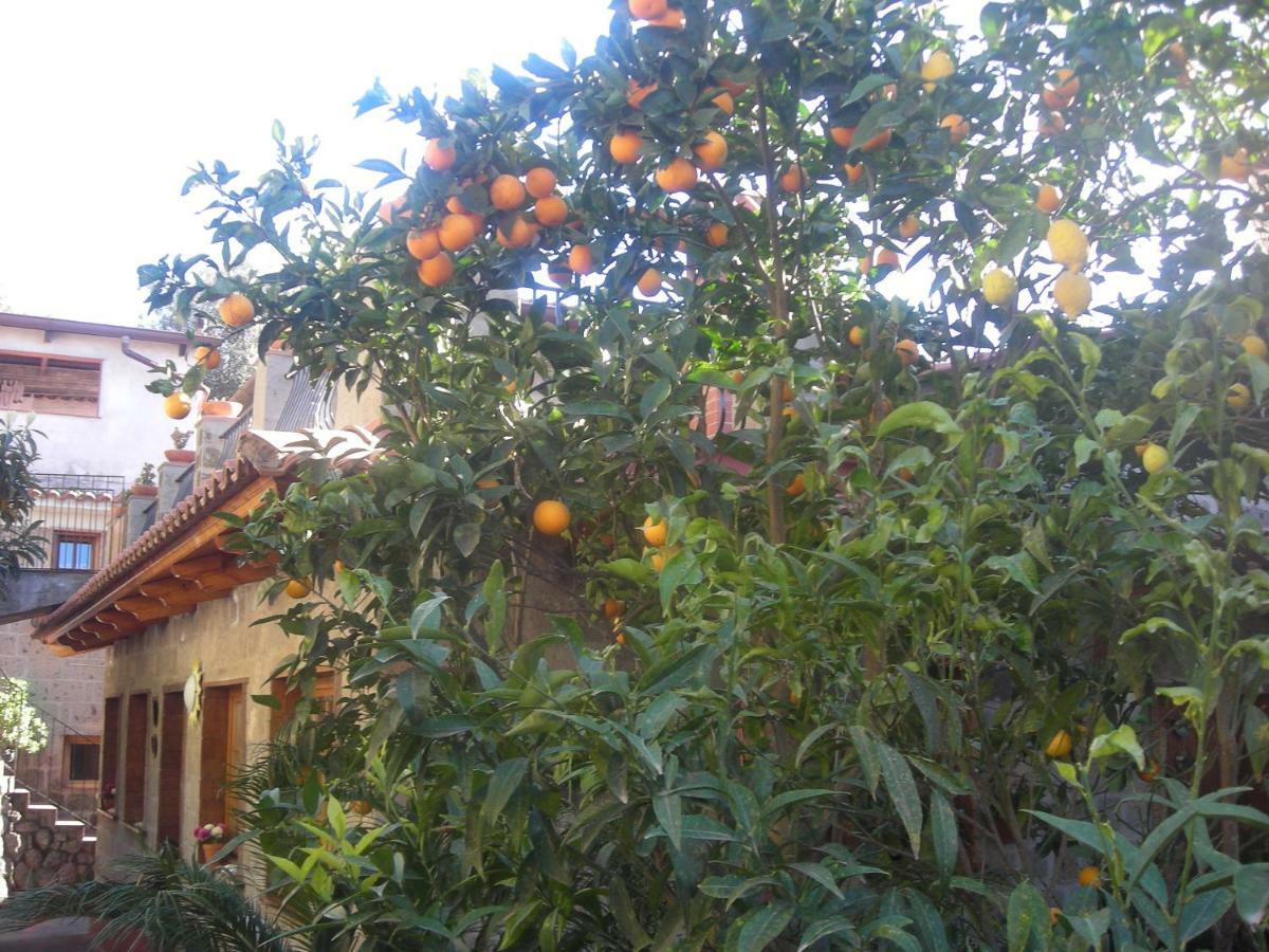 B&B L'Arcobaleno Sorrento Exterior photo
