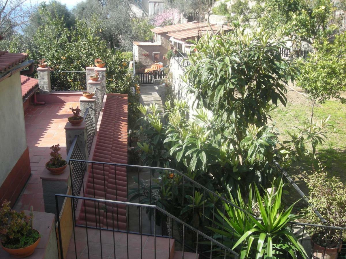 B&B L'Arcobaleno Sorrento Exterior photo