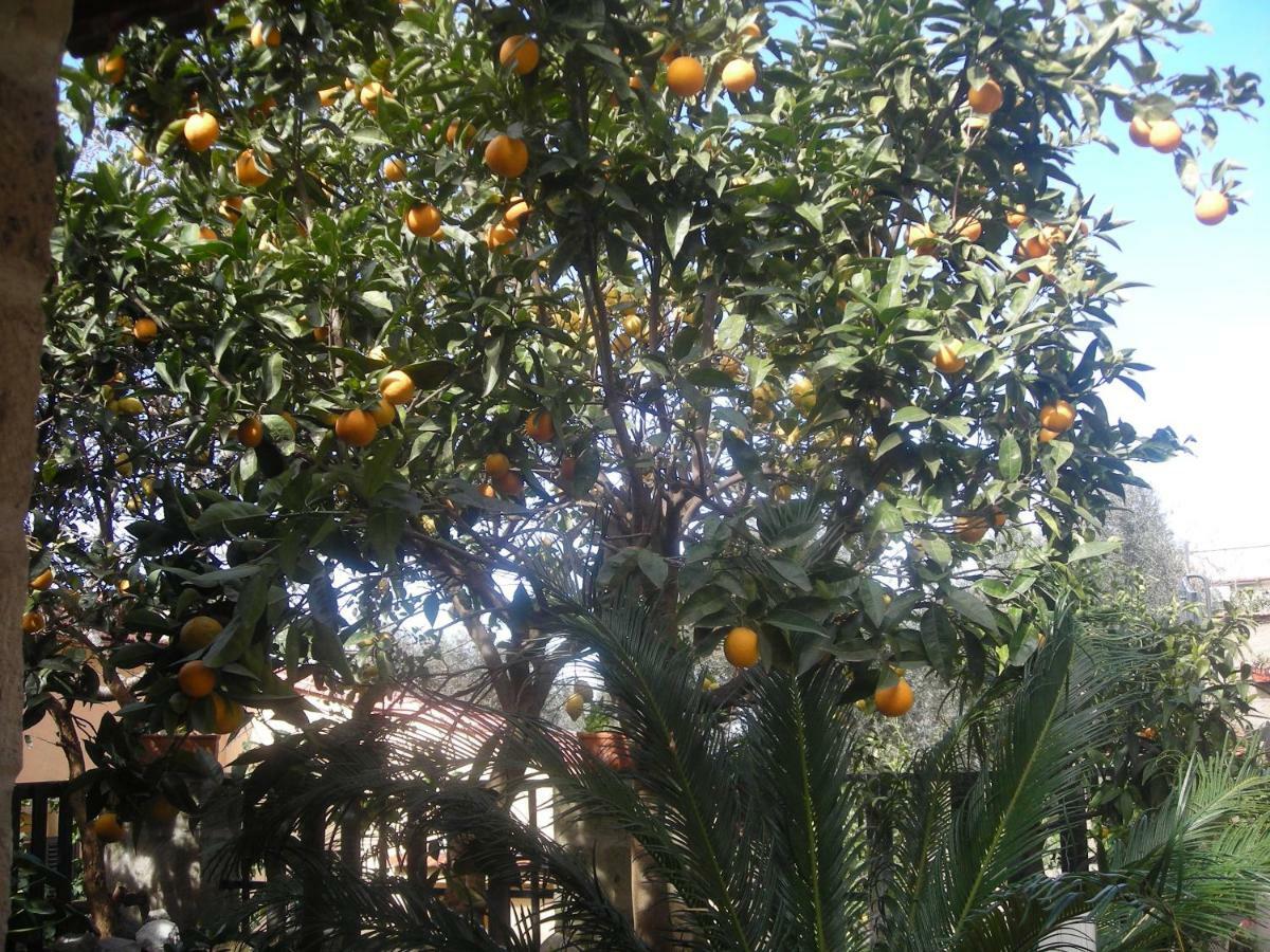 B&B L'Arcobaleno Sorrento Exterior photo